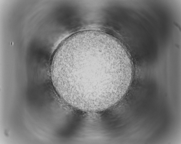 X0000103901312200810171604