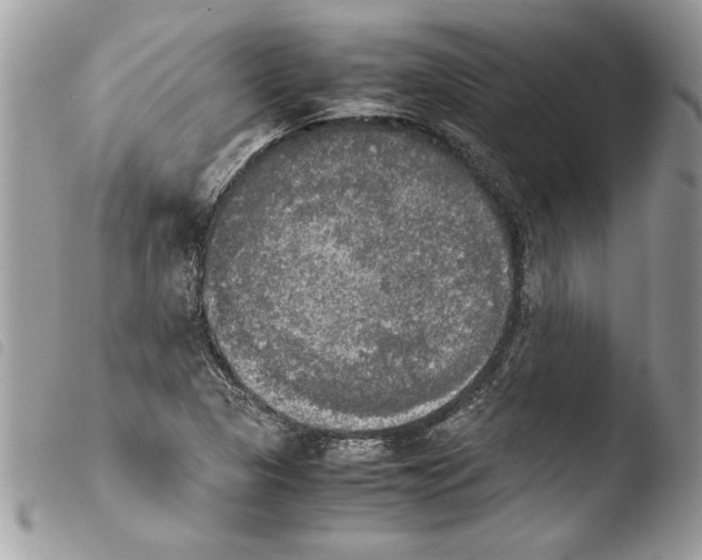 X0000103901313200810171604