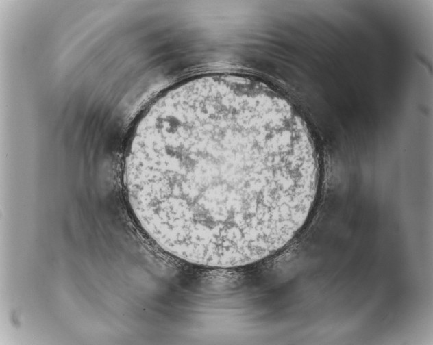 X0000103901314200810171604