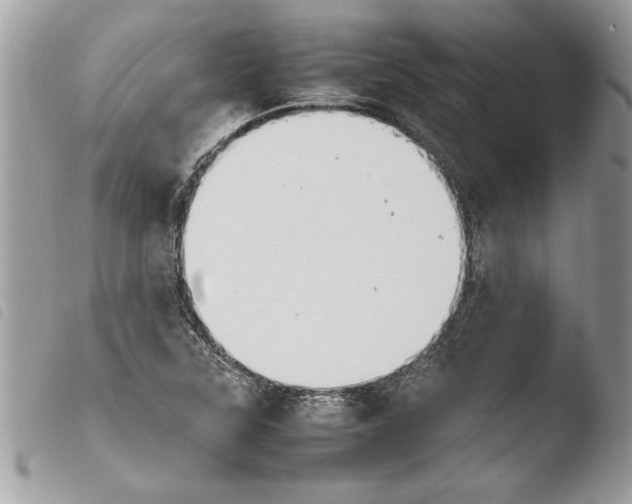 X0000103901315200810171604