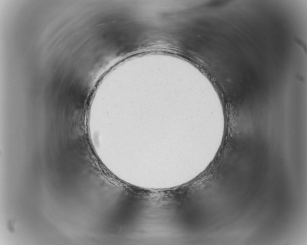 X0000103901316200810171604