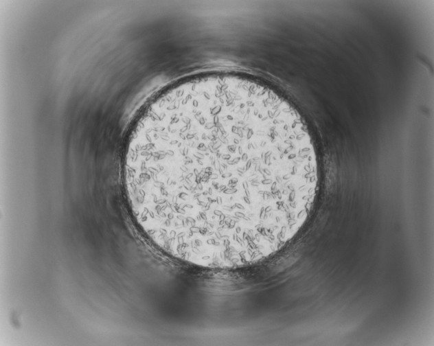 X0000103901318200810171604