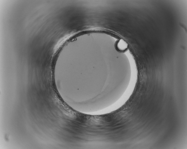 X0000103901319200810171604