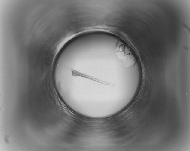 X0000103901320200810171604