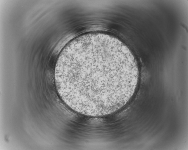 X0000103901321200810171604