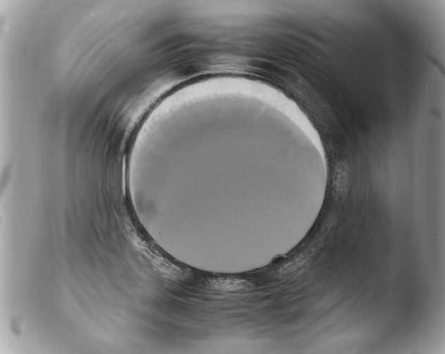 X0000103901323200810171604