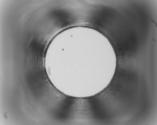 X0000103901324200810171604