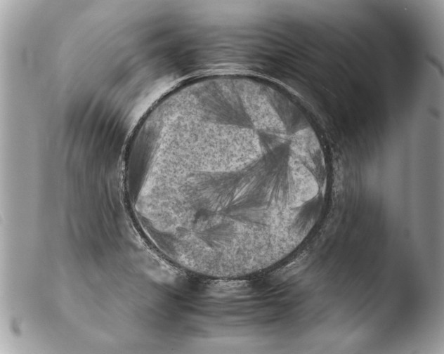 X0000103901325200810171604