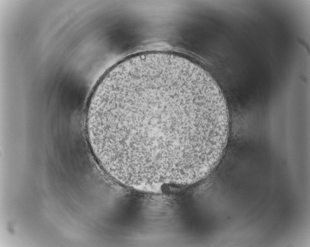 X0000103901326200810171604