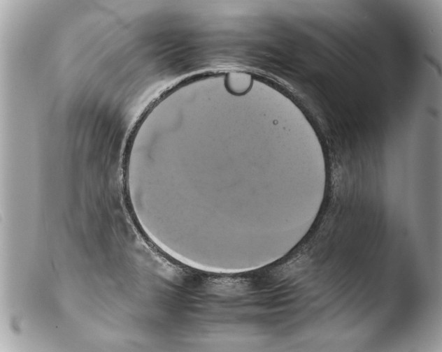 X0000103901327200810171604