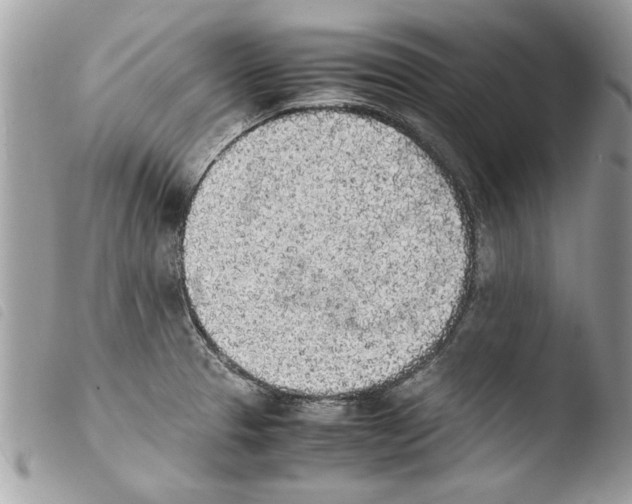 X0000103901329200810171604