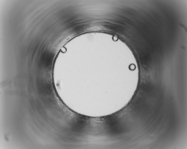 X0000103901330200810171604