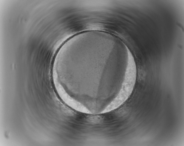 X0000103901331200810171604