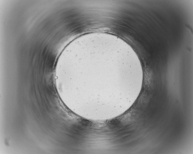 X0000103901332200810171604