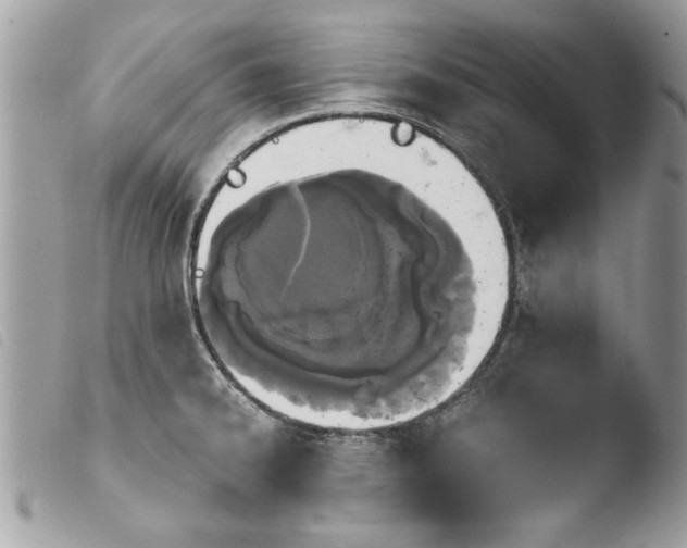 X0000103901334200810171605