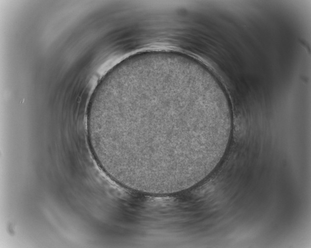 X0000103901335200810171605