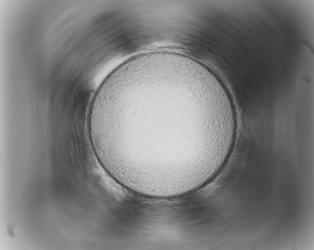 X0000103901336200810171605