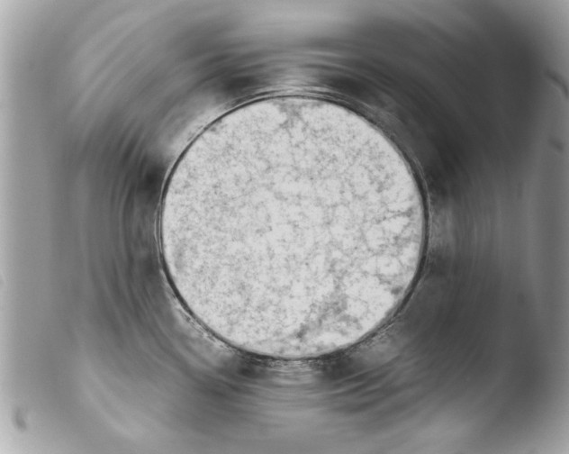 X0000103901338200810171605