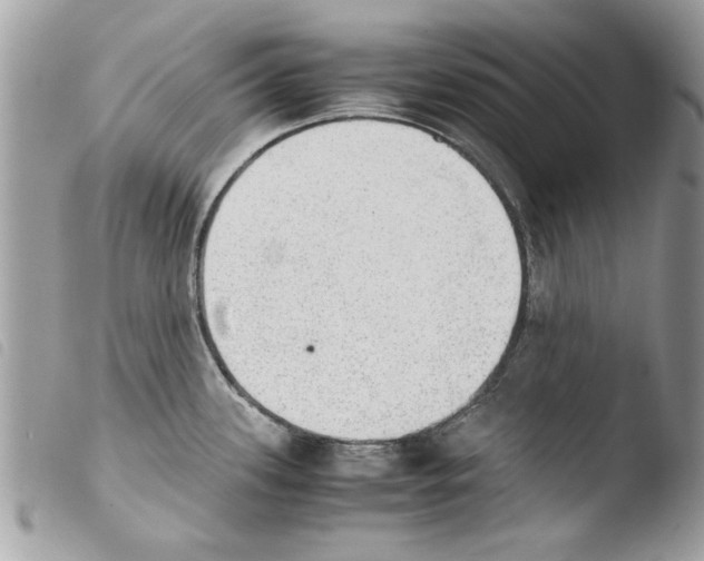 X0000103901339200810171605