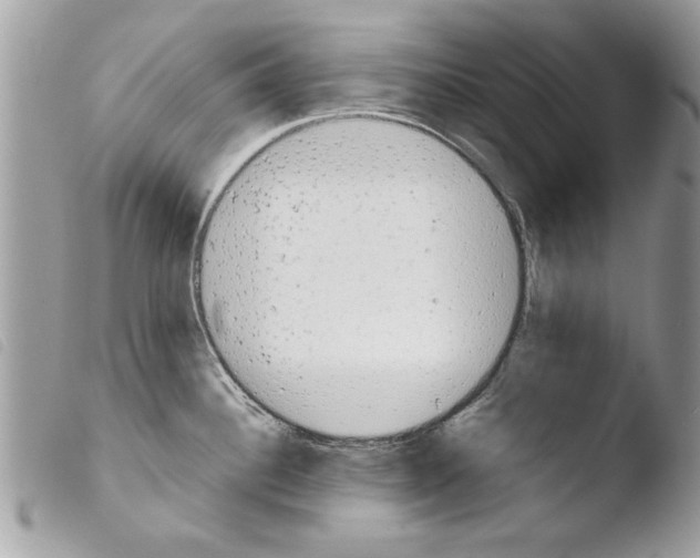 X0000103901340200810171605