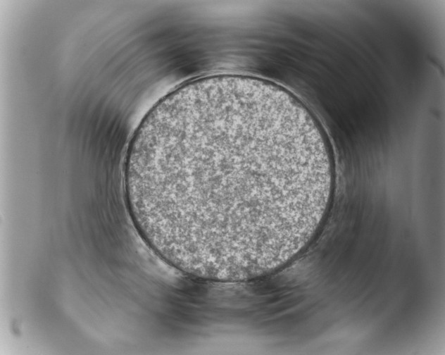 X0000103901341200810171605