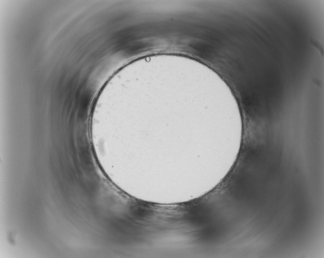 X0000103901342200810171605