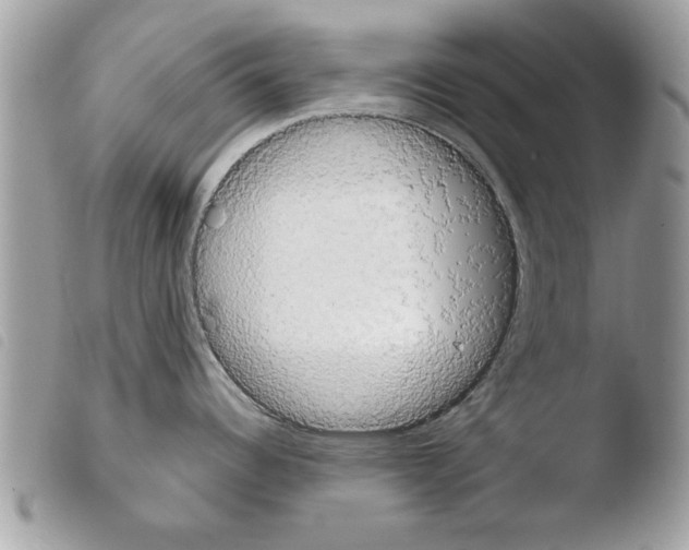 X0000103901344200810171605