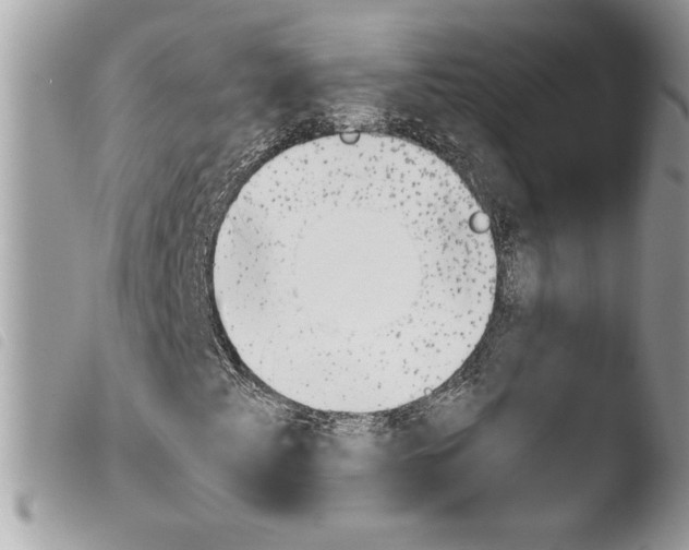 X0000103901345200810171604