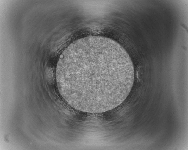 X0000103901347200810171604