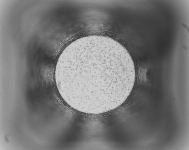 X0000103901348200810171604