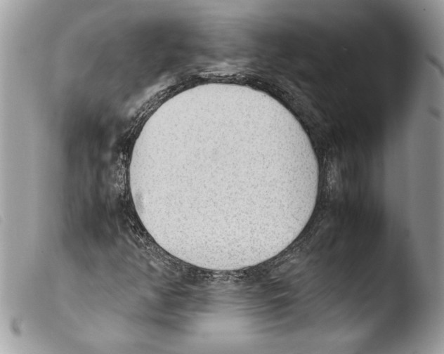 X0000103901350200810171604