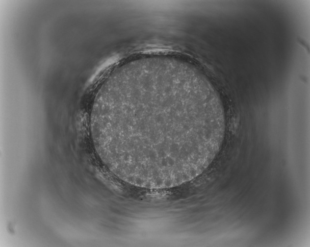 X0000103901351200810171604