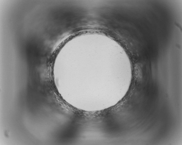 X0000103901352200810171604