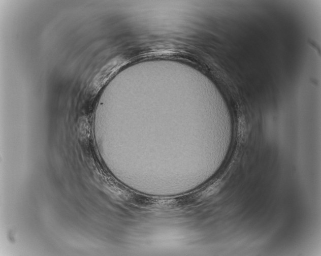 X0000103901353200810171604