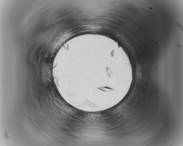 X0000103901354200810171604