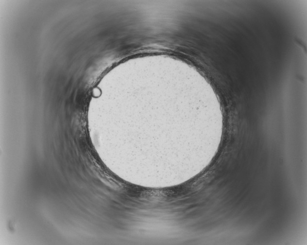 X0000103901355200810171604