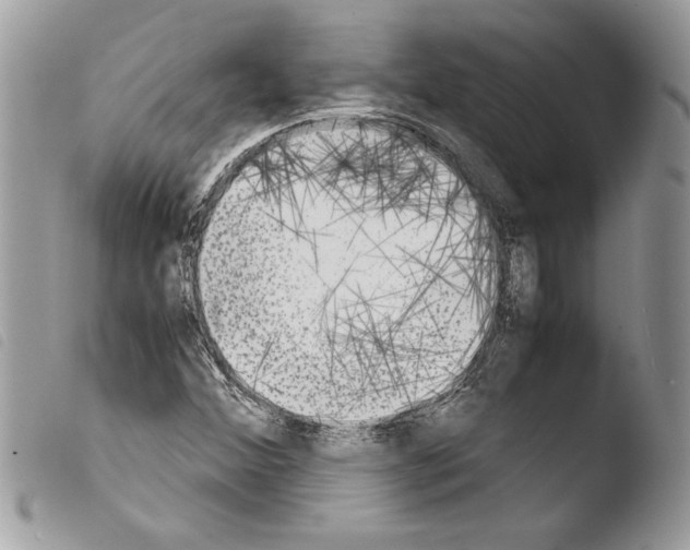 X0000103901356200810171604