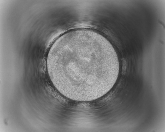 X0000103901358200810171604