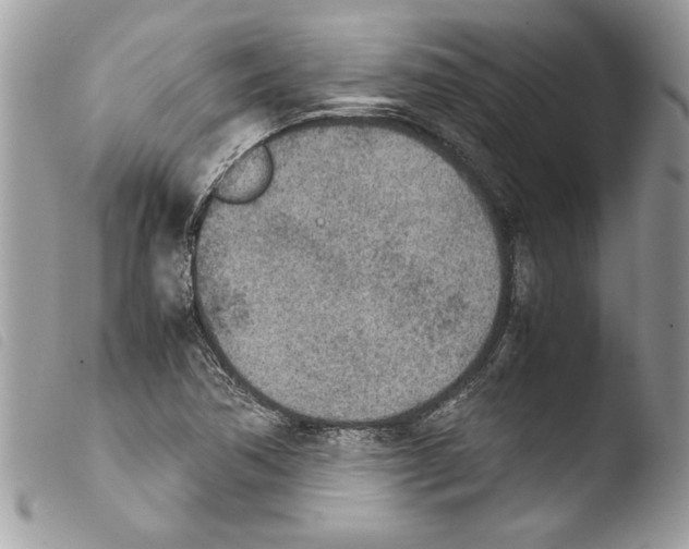 X0000103901362200810171604