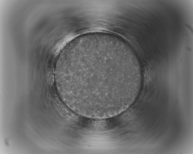 X0000103901363200810171603