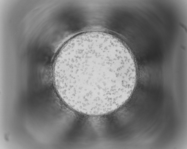 X0000103901364200810171603