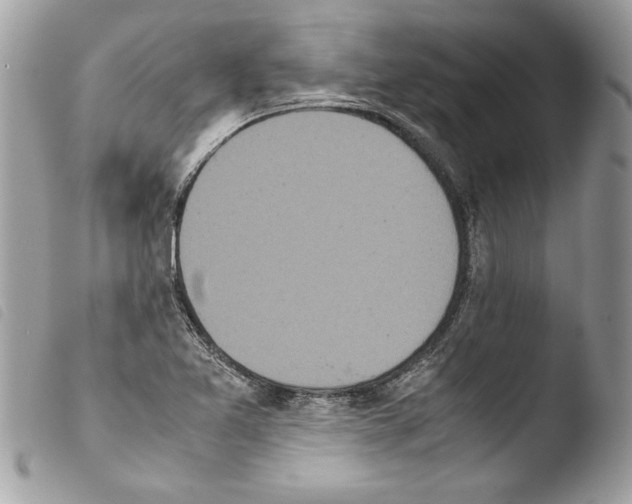 X0000103901365200810171603