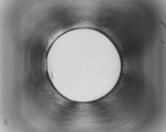 X0000103901366200810171603