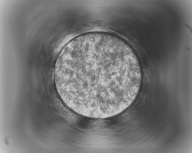 X0000103901367200810171603