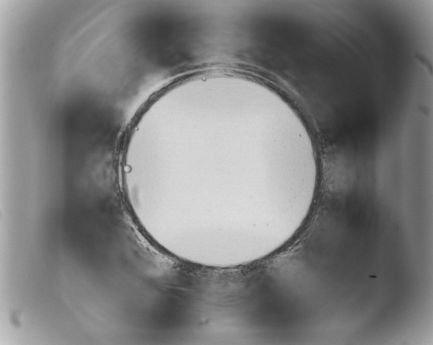 X0000103901368200810171603