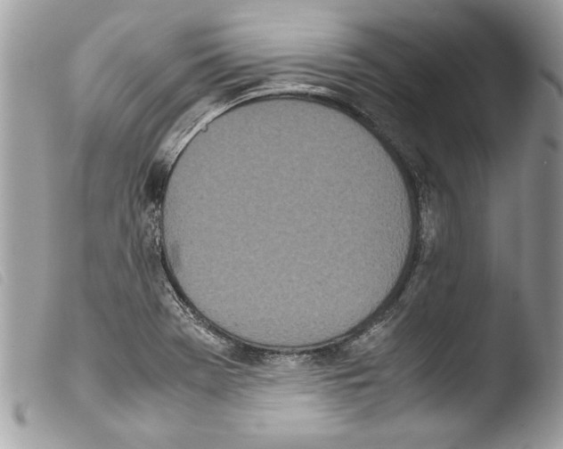 X0000103901369200810171603