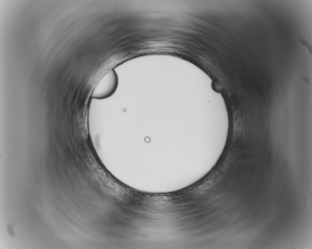 X0000103901370200810171603