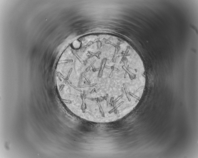 X0000103901371200810171603