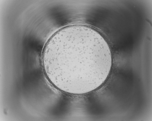 X0000103901372200810171603