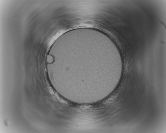 X0000103901373200810171603